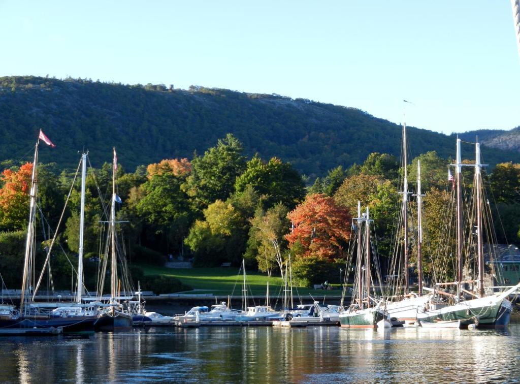 Cedar Crest Inn Camden